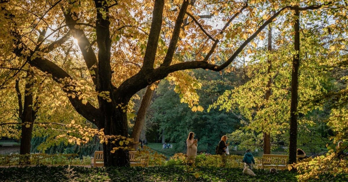 how do changing seasons affect human health